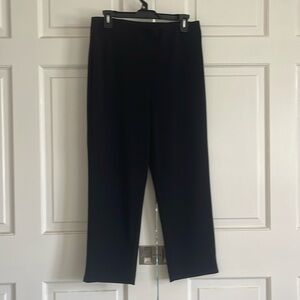 Boston proper travel pant